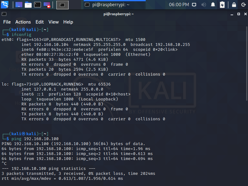 Testing the connection in Kali Linux